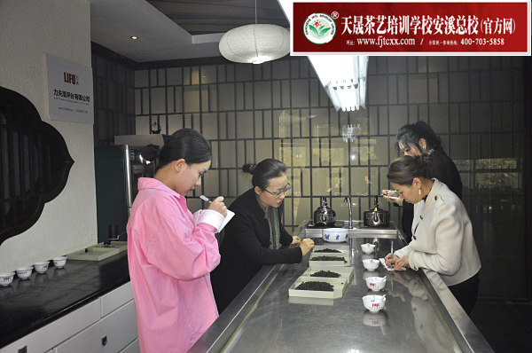 茶艺师培训学什么才是对的?